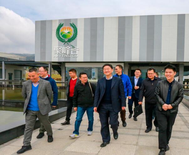 集团党委书记、董事长任丁率队调研聚峰谷
