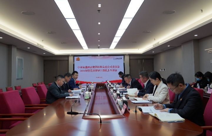 尊龙凯时集团党委书记、董事长任丁出席安逸酒店集团2022年度党员领导干部民主生活会